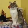Отзыв от Кристина Леонтьева